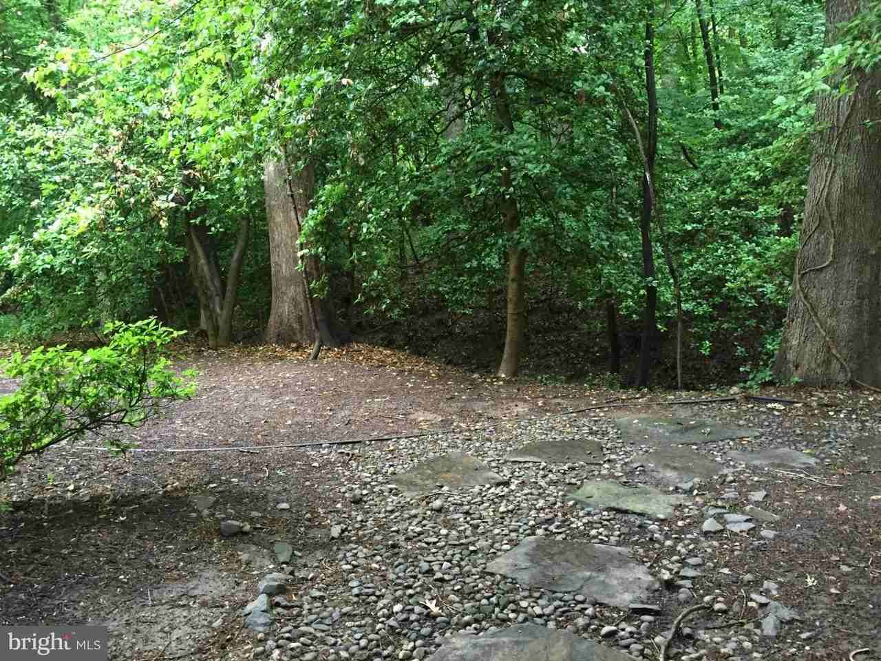 11723 Karbon Hill Ct - Photo 3 of 35