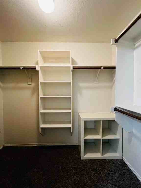 512 Mustang Trl - Photo 5 of 14