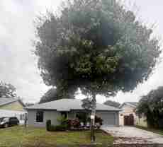 14539 Wood Pine Dr - Photo 1 of 1