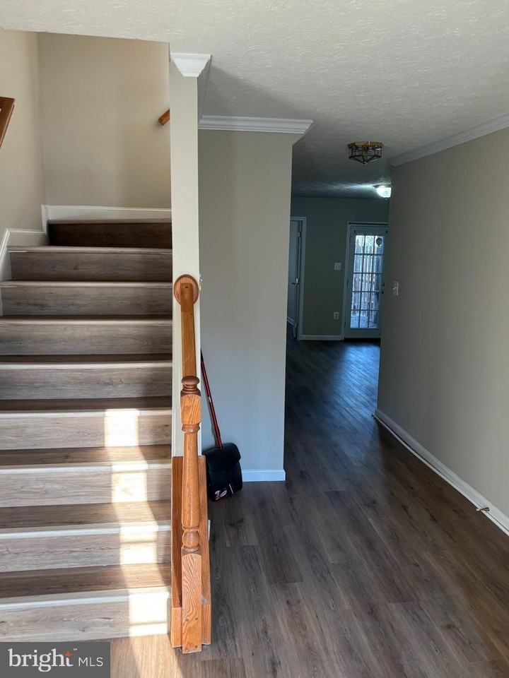 8002 Bullfinch Pl - Photo 7 of 33