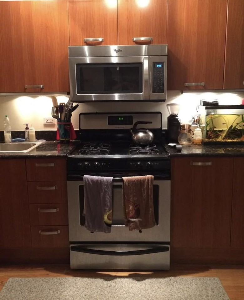 1711 W Jarvis Ave #3C - Photo 3 of 10