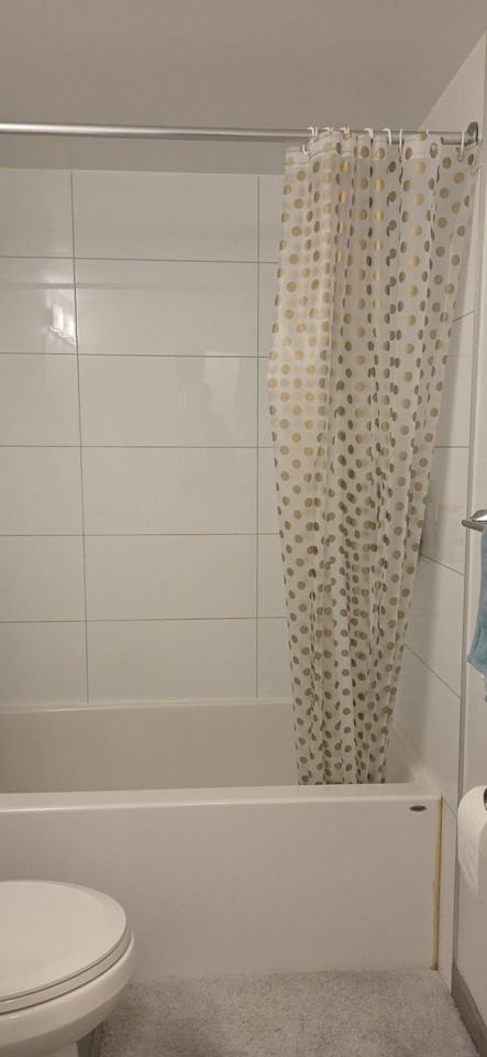 1242 West 11th Avenue #104 - Photo 4 of 11