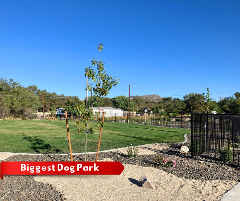 5356 Crest Cove Dr - Photo 6 of 11