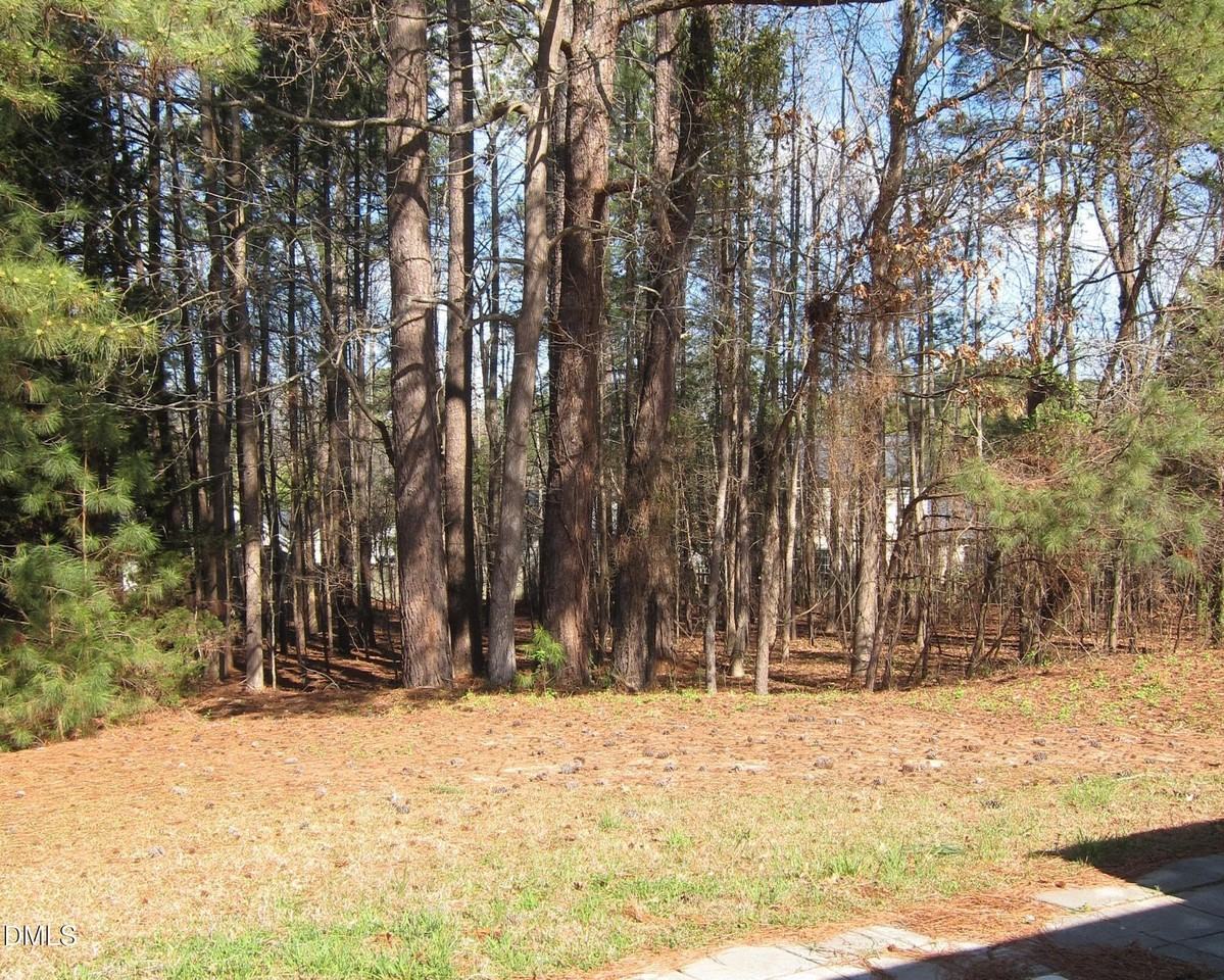 102 Checker Ct - Photo 2 of 11