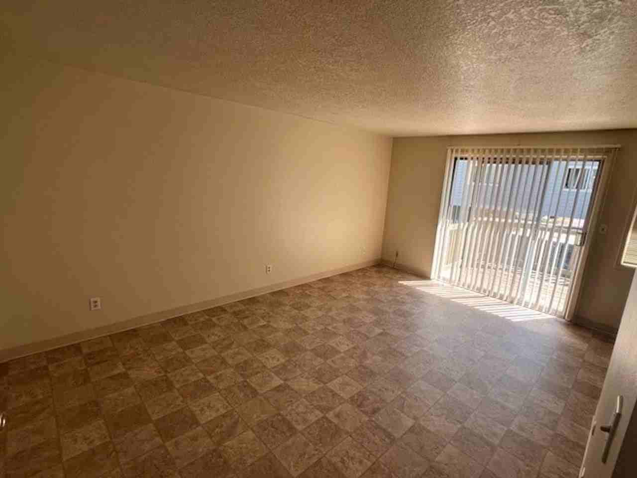 Trinit - Photo 6 of 27