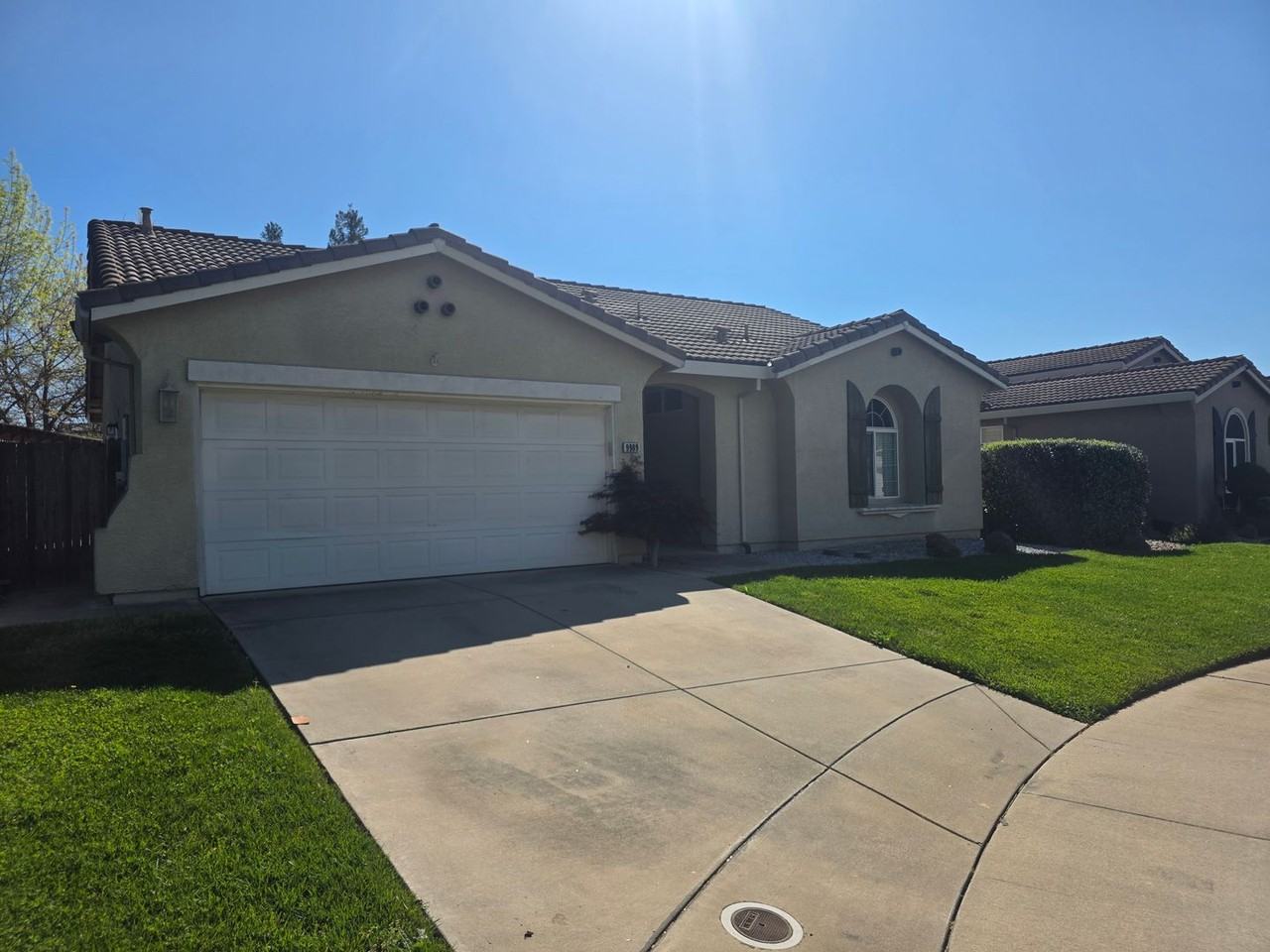 9909 Blue Lupine Pl - Photo 3 of 16