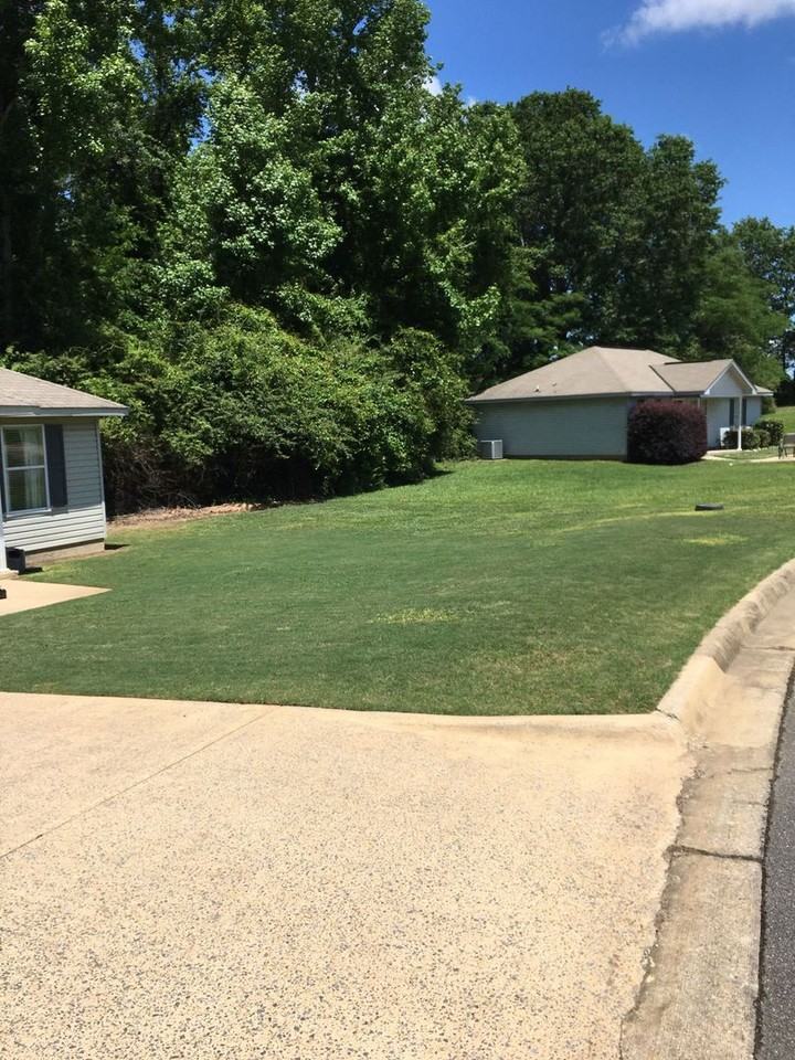 12582 Drift Bay Cv - Photo 5 of 9