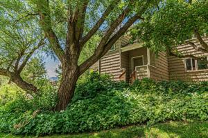 featured image of 4651 Macarthur Ln