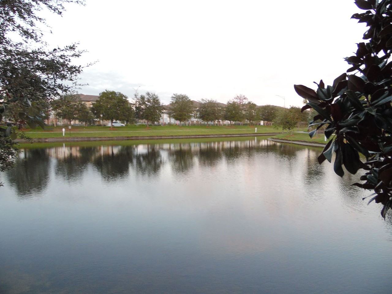 4917 Key Lime Dr #307 - Photo 6 of 21