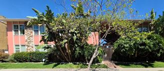 1023 E 1st St #1 - Photo 1 of 1