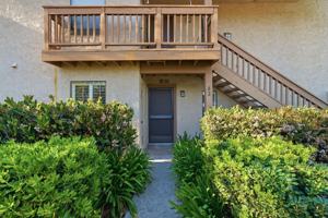 featured image of 82 Tangelo