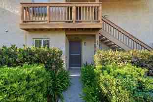 82 Tangelo - Photo 1 of 1