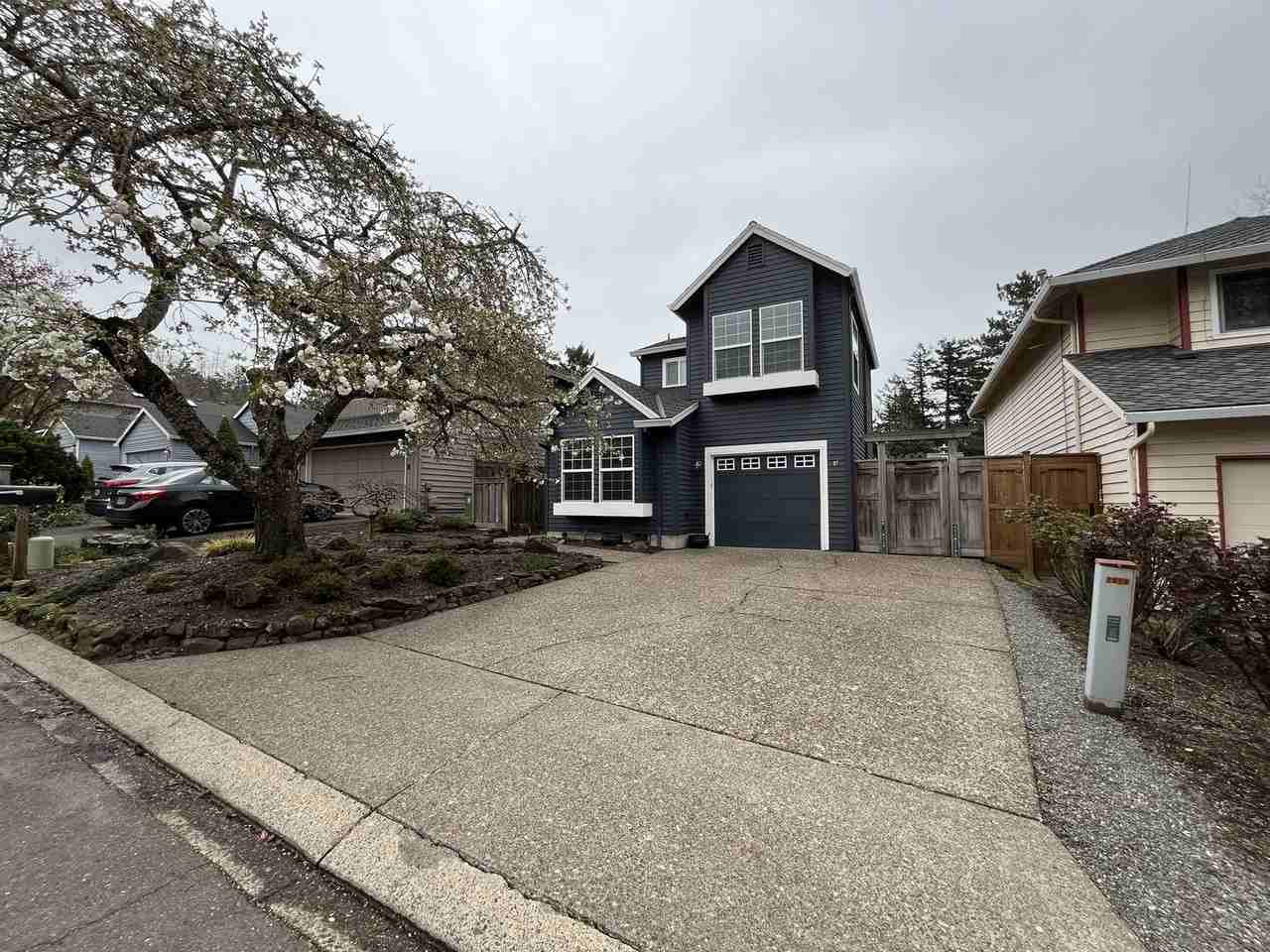 81 Kingsgate Rd - Photo 3 of 42