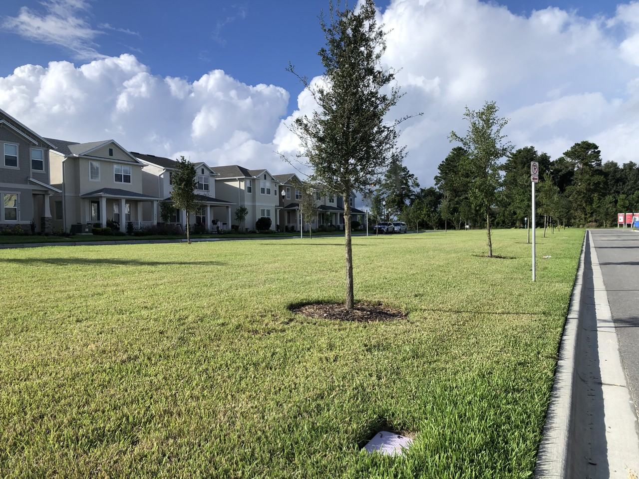 4245 Mistwood St #NA - Photo 6 of 29