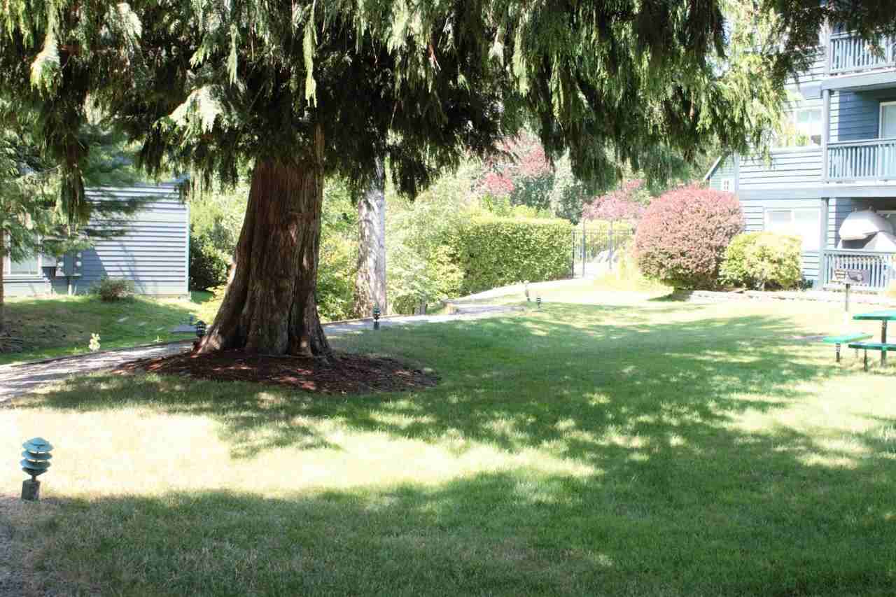 Poplar Lane Apartments - Photo 2 of 50