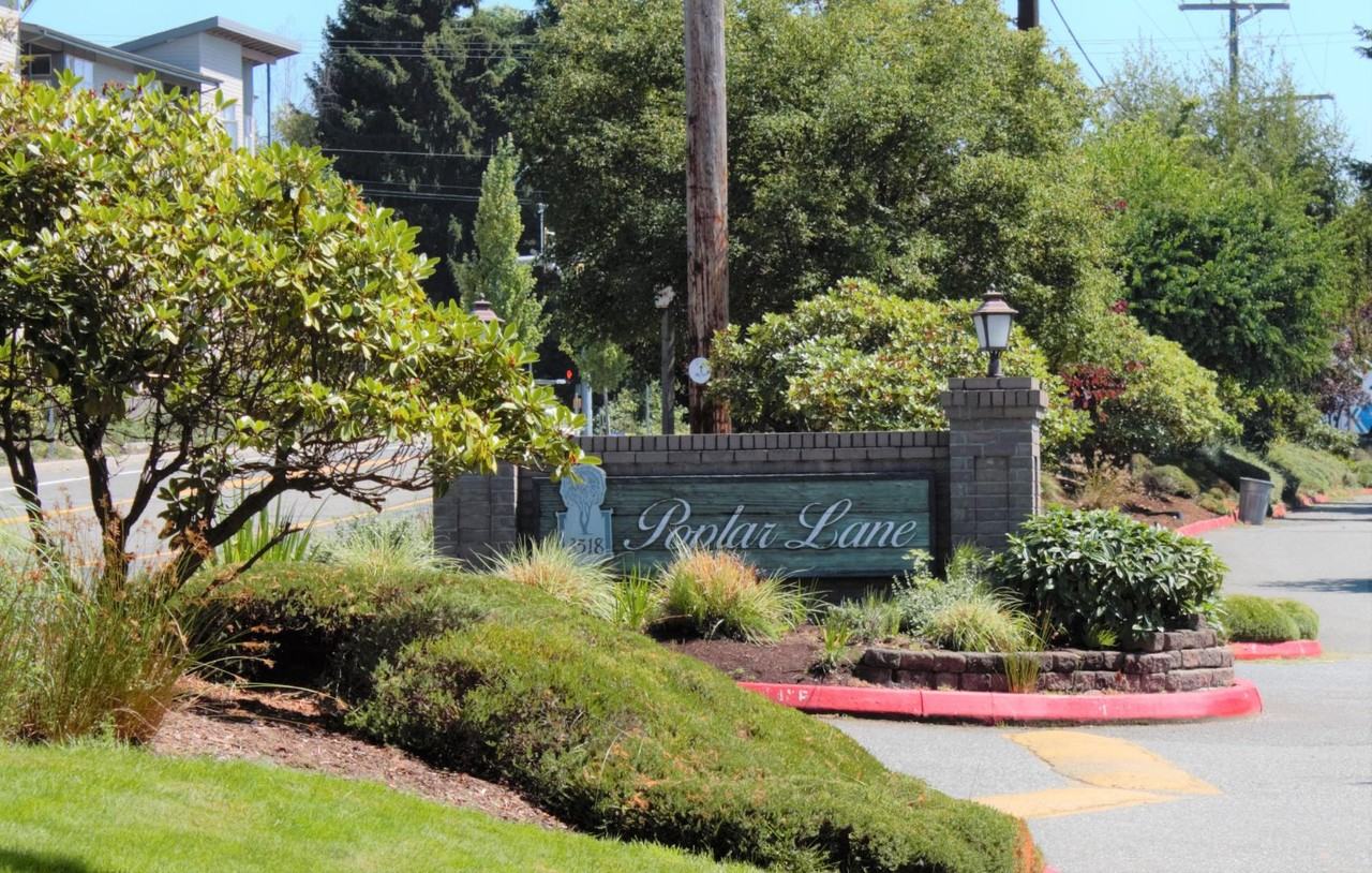 Poplar Lane Apartments - Photo 7 of 50