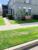 Leimert8 - Photo 1 of 1