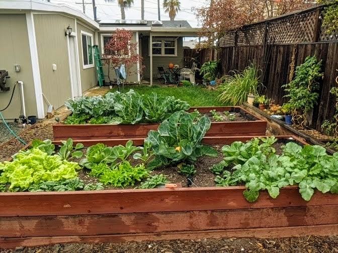 Kansas St & Collier Ave - Photo 7 of 8