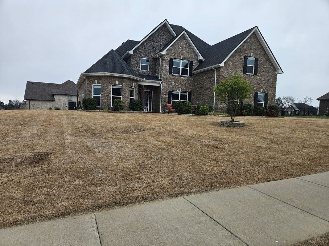1202 Macey Peri Way - Photo 2 of 29