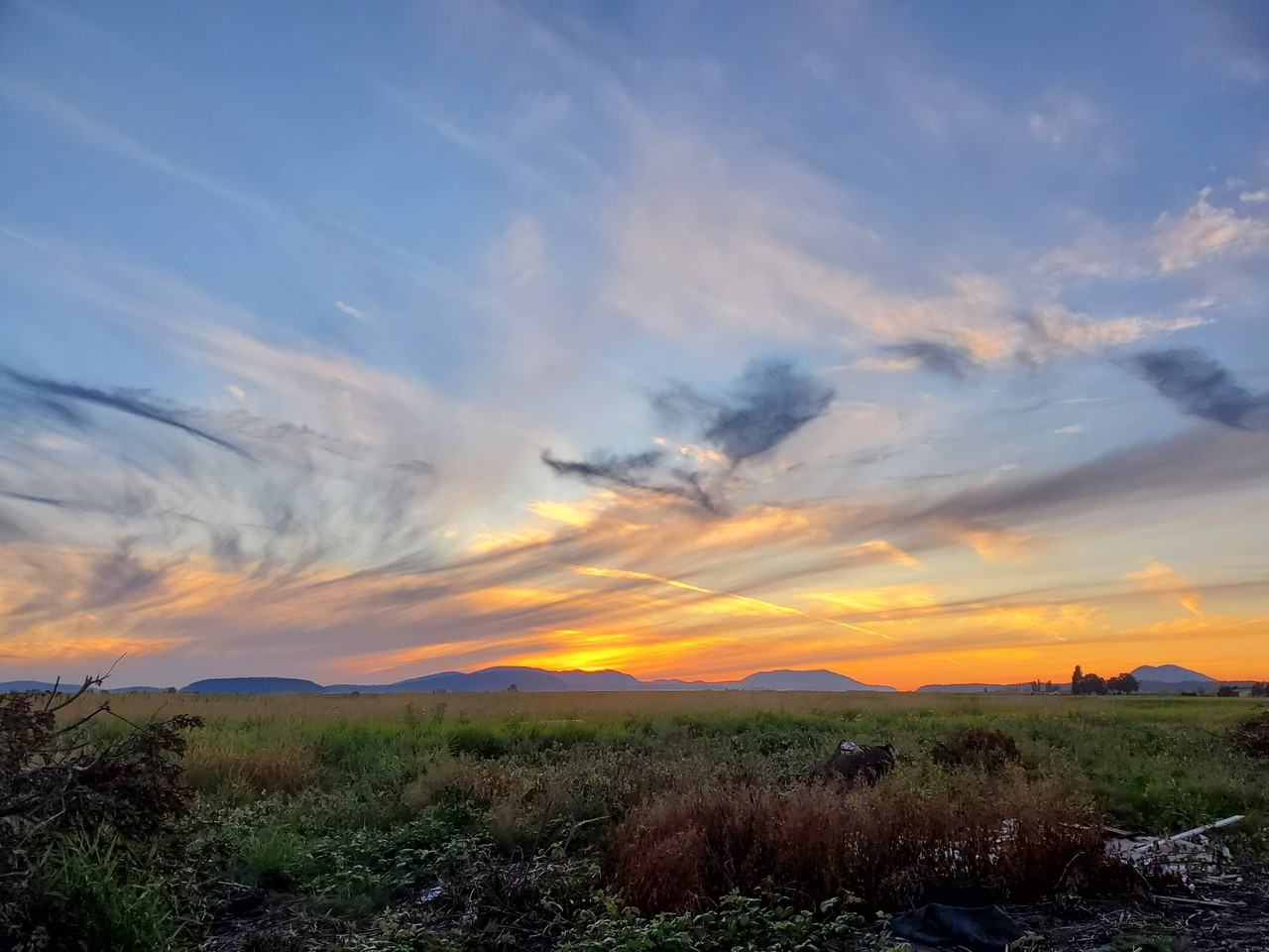 8468 Farm To Market Rd #NA - Photo 4 of 13