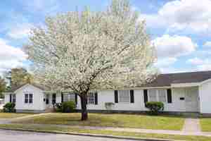 featured image of 811 17th Ave #C