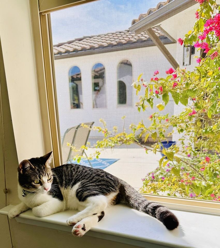 15856 N Friant Rd #NA - Photo 3 of 27