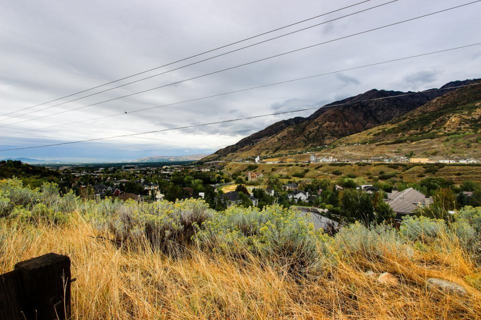 3300 E Fort Union Blvd - Photo 2 of 19