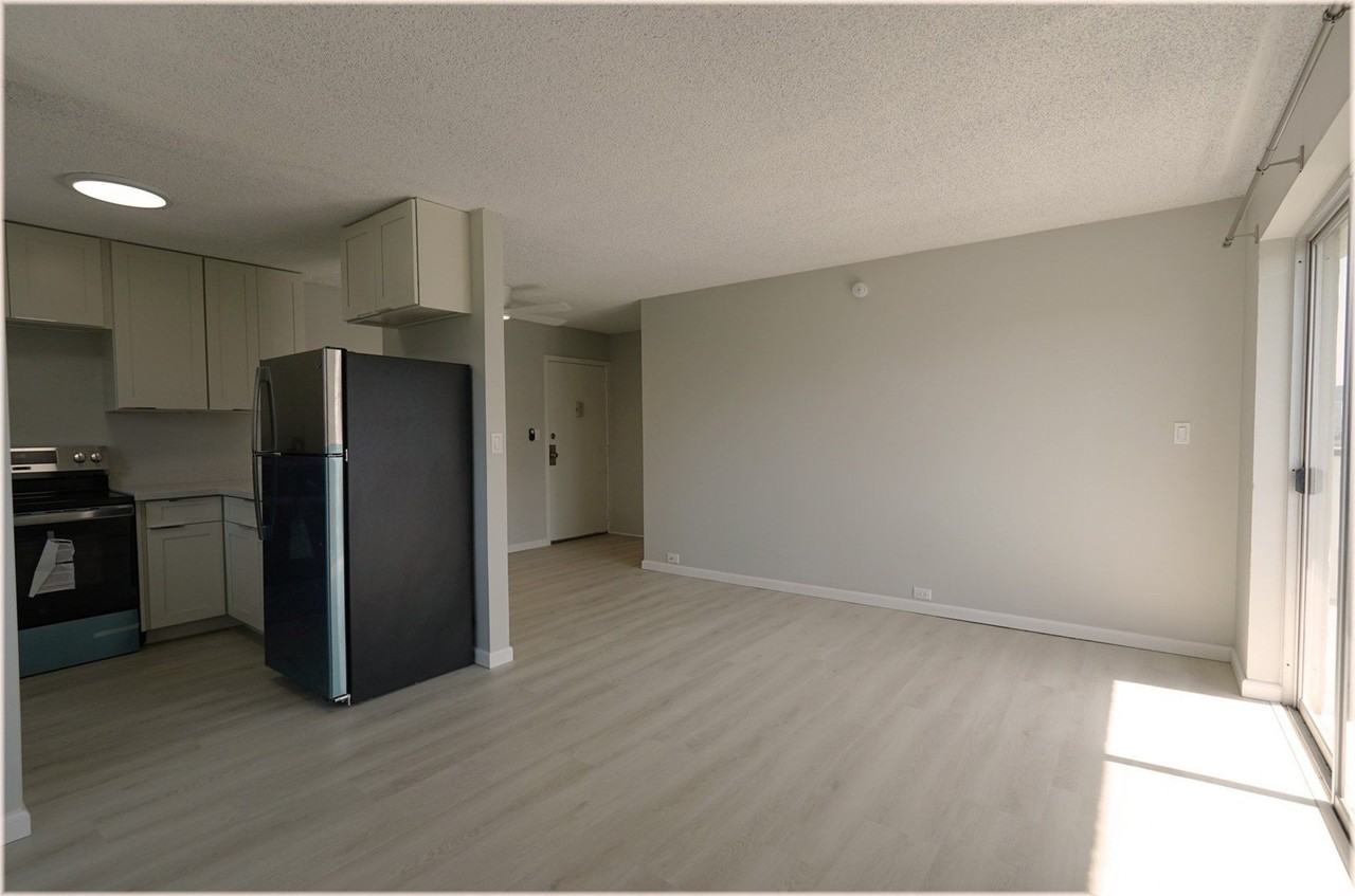 509 University Ave Apt 1004 - Photo 4 of 20