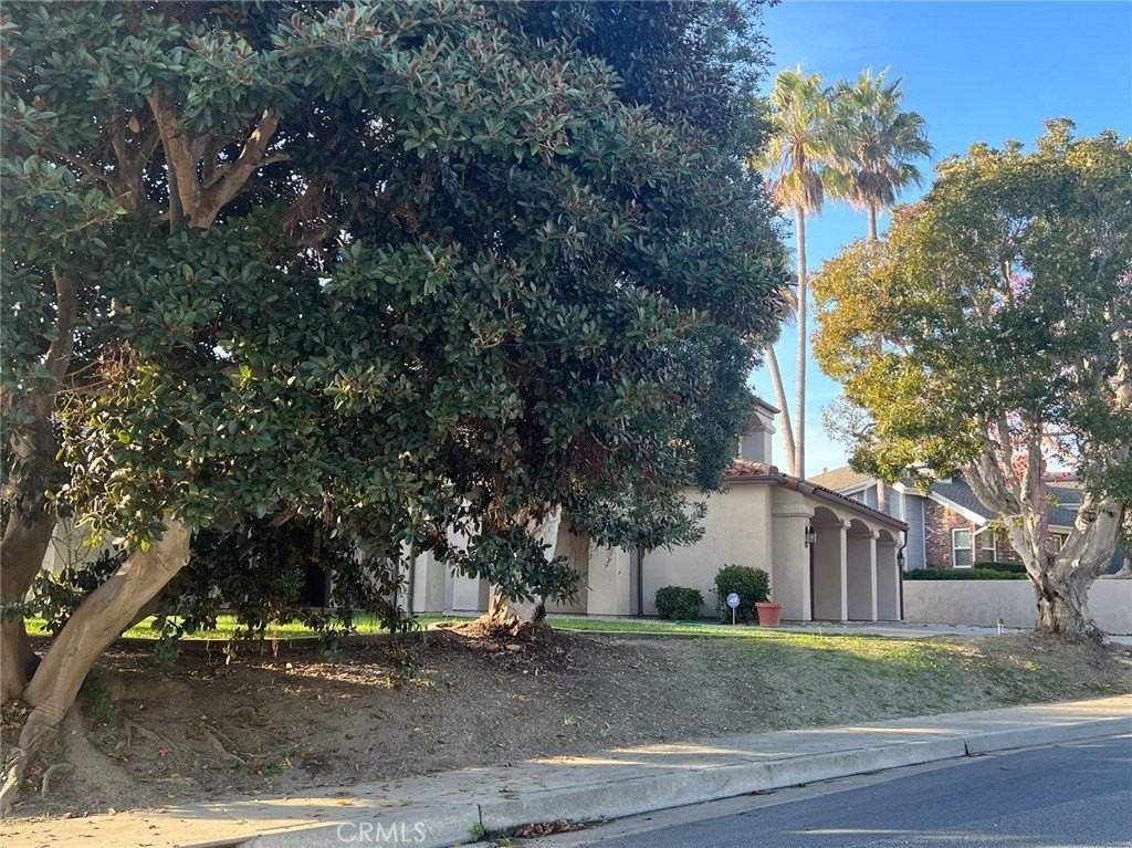 107 Via Ensueno - Photo 6 of 50