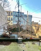 313 Stockholm St Apt 1 #Apt 1 - Photo 1 of 1