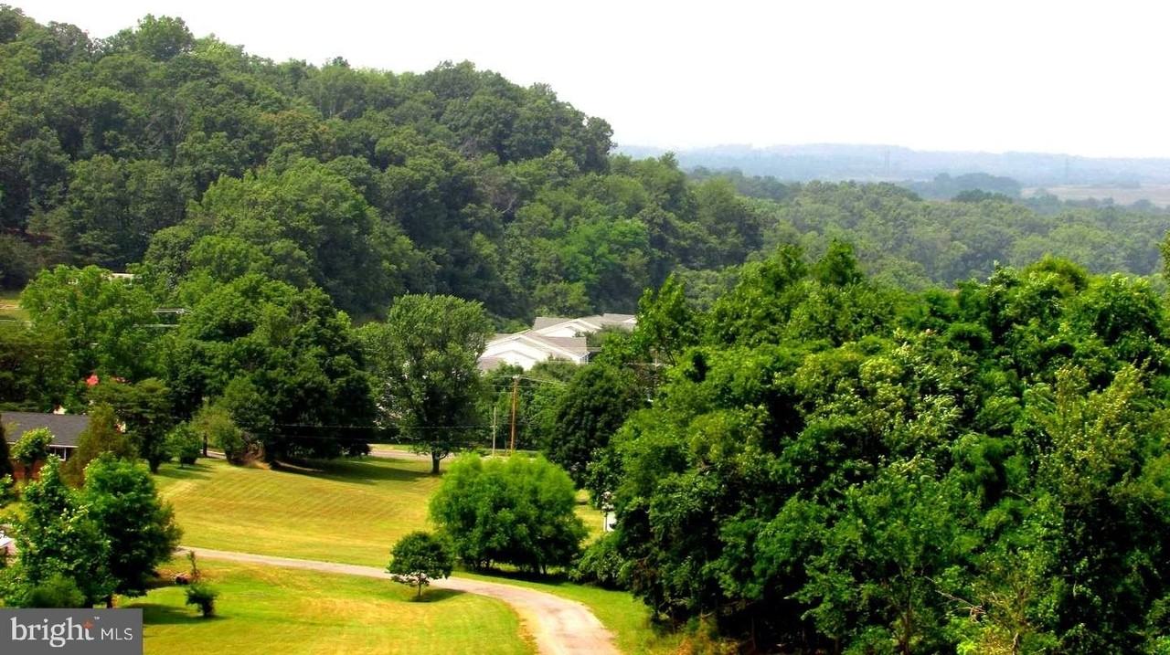 1230 Elm St - Photo 2 of 24