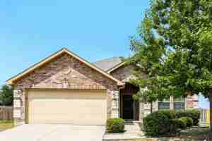 featured image of 529 Indian Paintbrush