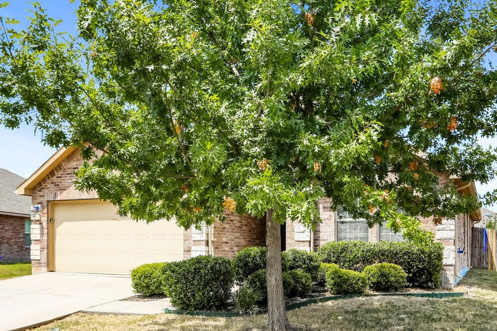 529 Indian Paintbrush - Photo 3 of 16