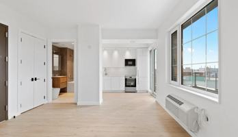 featured image of 101 Bruckner Blvd