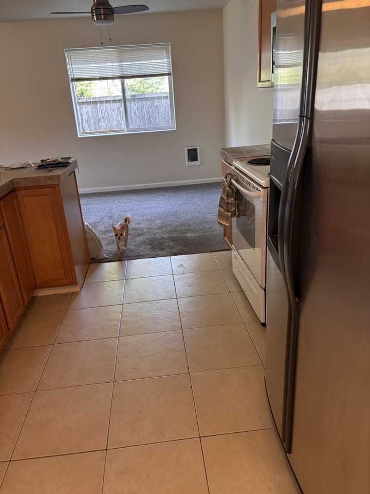 647 N Main Ave #2 - Photo 5 of 10