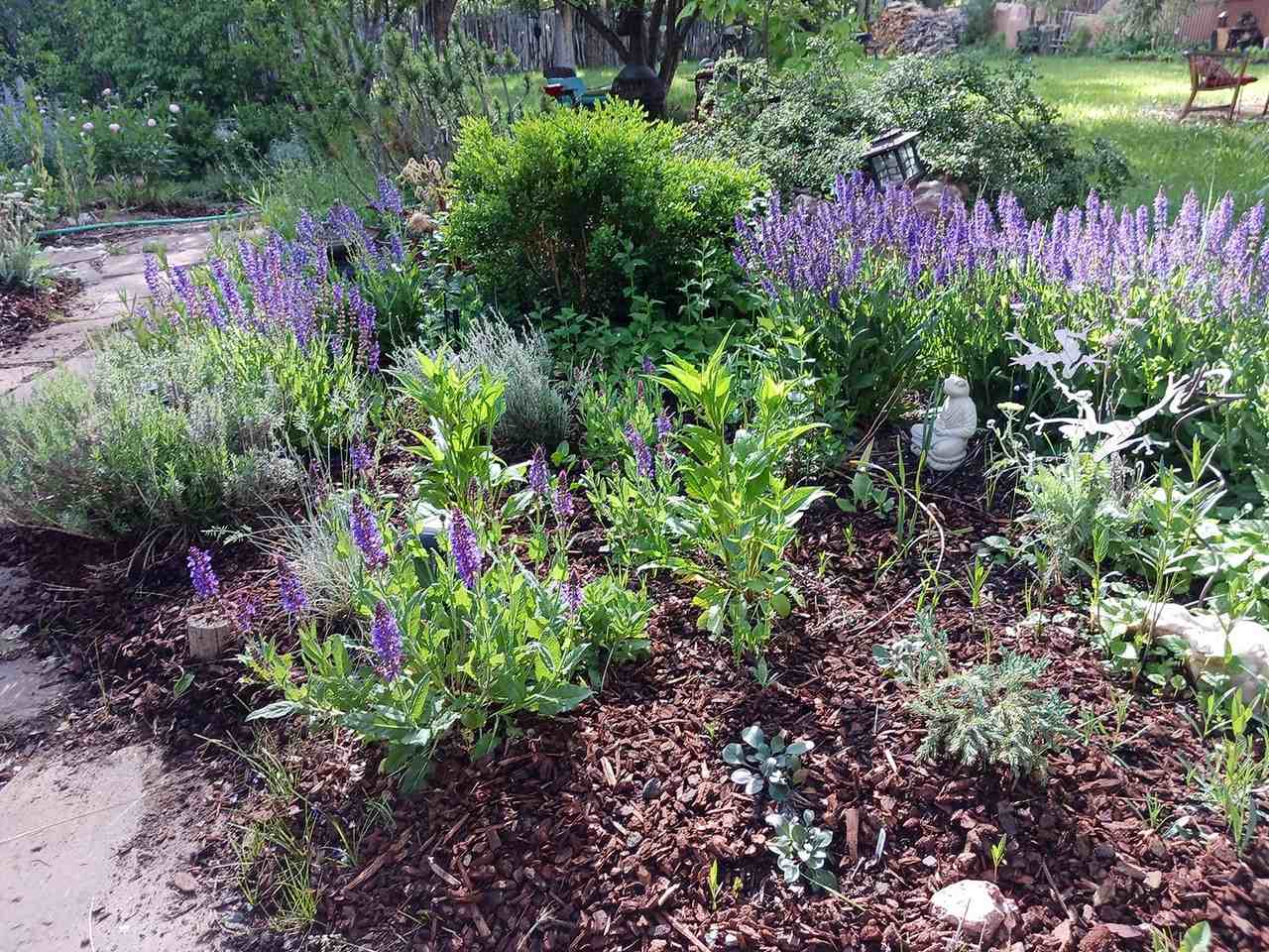 519 La Lomita Rd #NA - Photo 5 of 27