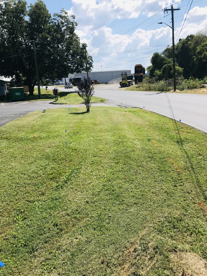 426 Elm St #12 - Photo 4 of 16