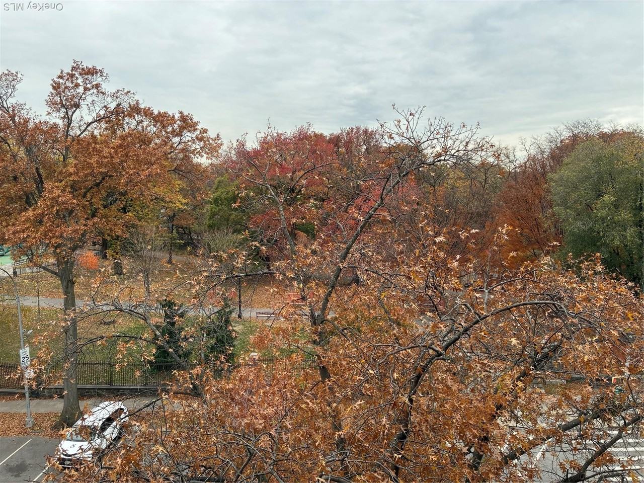 610 Waring Ave Apt 5g - Photo 3 of 17