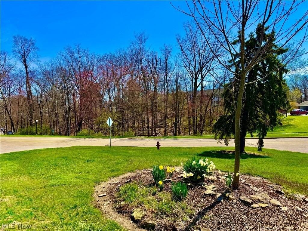 6910 Carriage Hill Dr Apt 202 - Photo 6 of 7