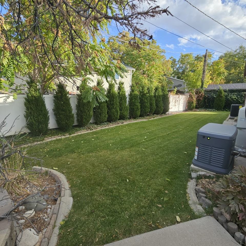 4185 S St - Photo 5 of 17