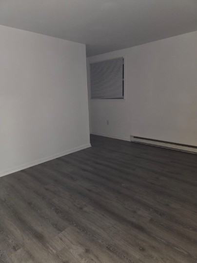 343 South Front St - NEW - 1A #1A - Photo 3 of 6