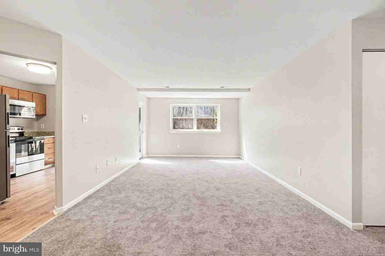 4 Juliet Ln Apt 103 - Photo 7 of 25