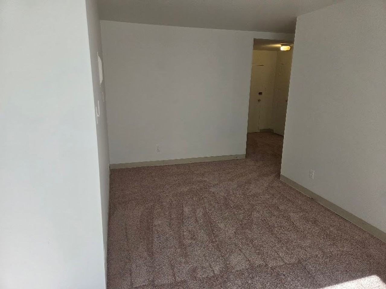 Robin Towers - Photo 2 of 7