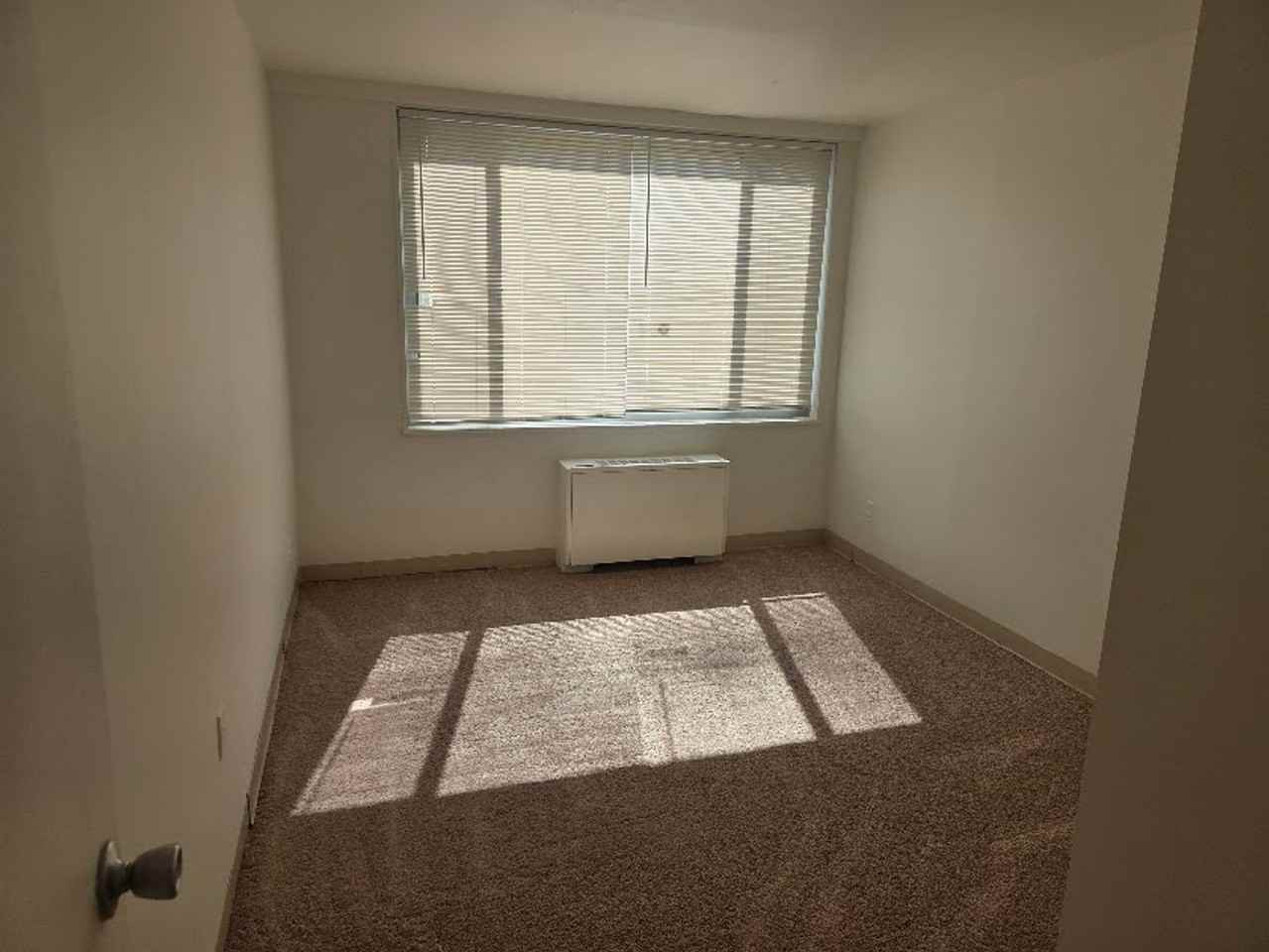 Robin Towers - Photo 3 of 7