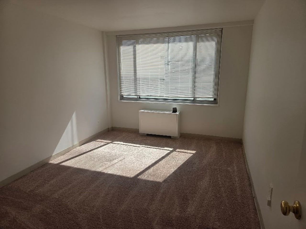 Robin Towers - Photo 4 of 7