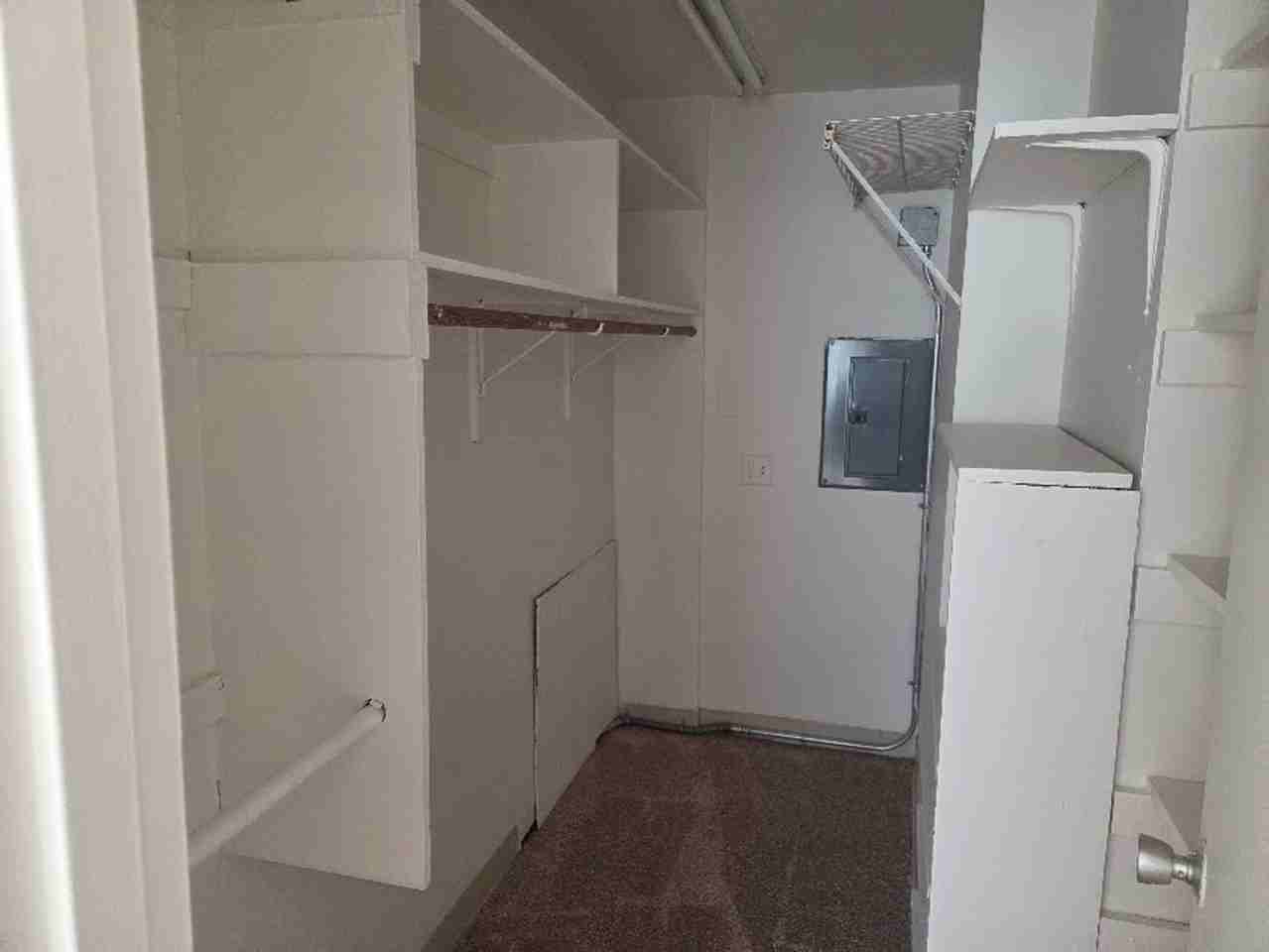 Robin Towers - Photo 5 of 7