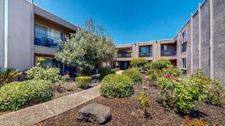 2120 Sonoma Ave #7 - Photo 1 of 1