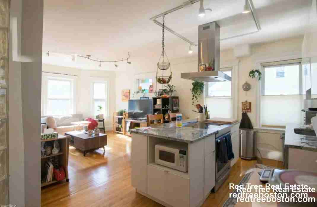 229 Harvard St #6 - Photo 2 of 35