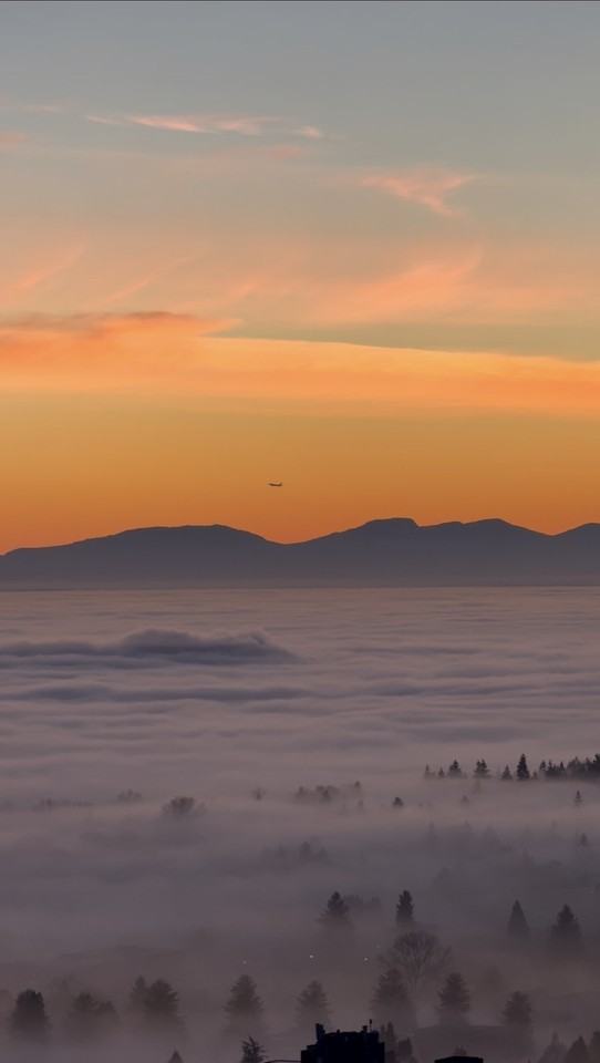 6461 Telford Ave - Photo 4 of 13