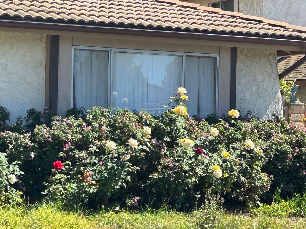 876 Palmer Ave - Photo 2 of 19